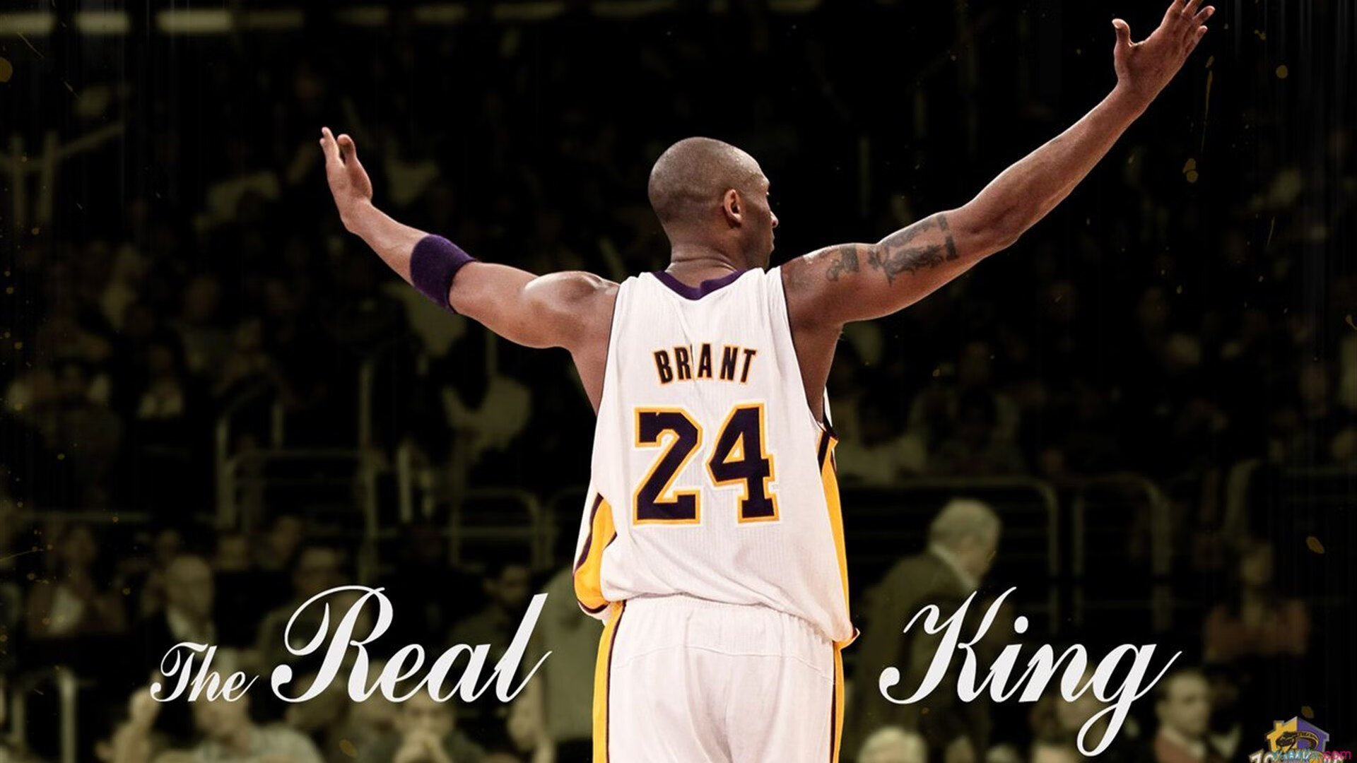 马克西惊艳四座,掘金主场力克步行者,展露冠军底蕴