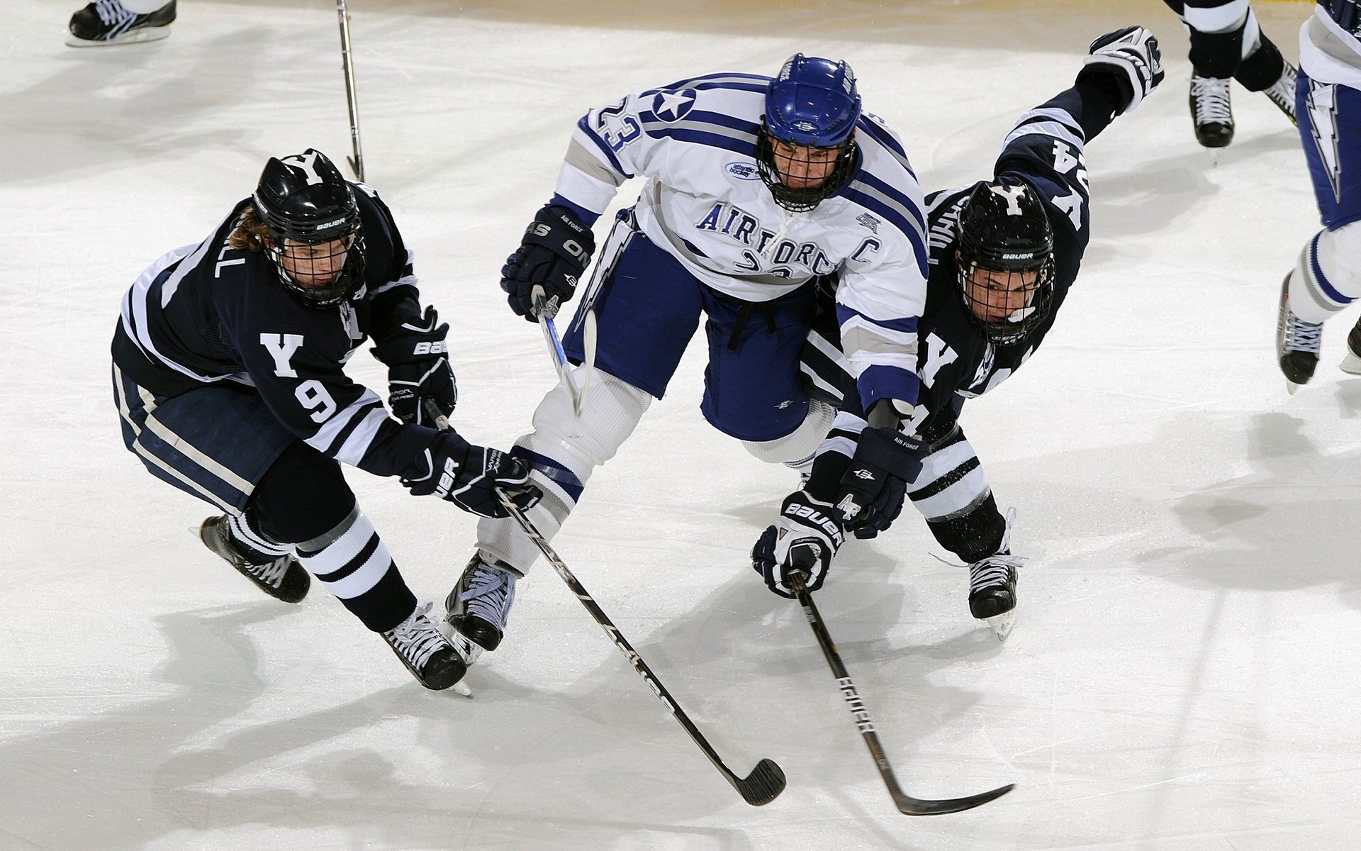 奥运周期关键战焦点战，黄蜂绝杀北京队，一场改写格局的经典对决